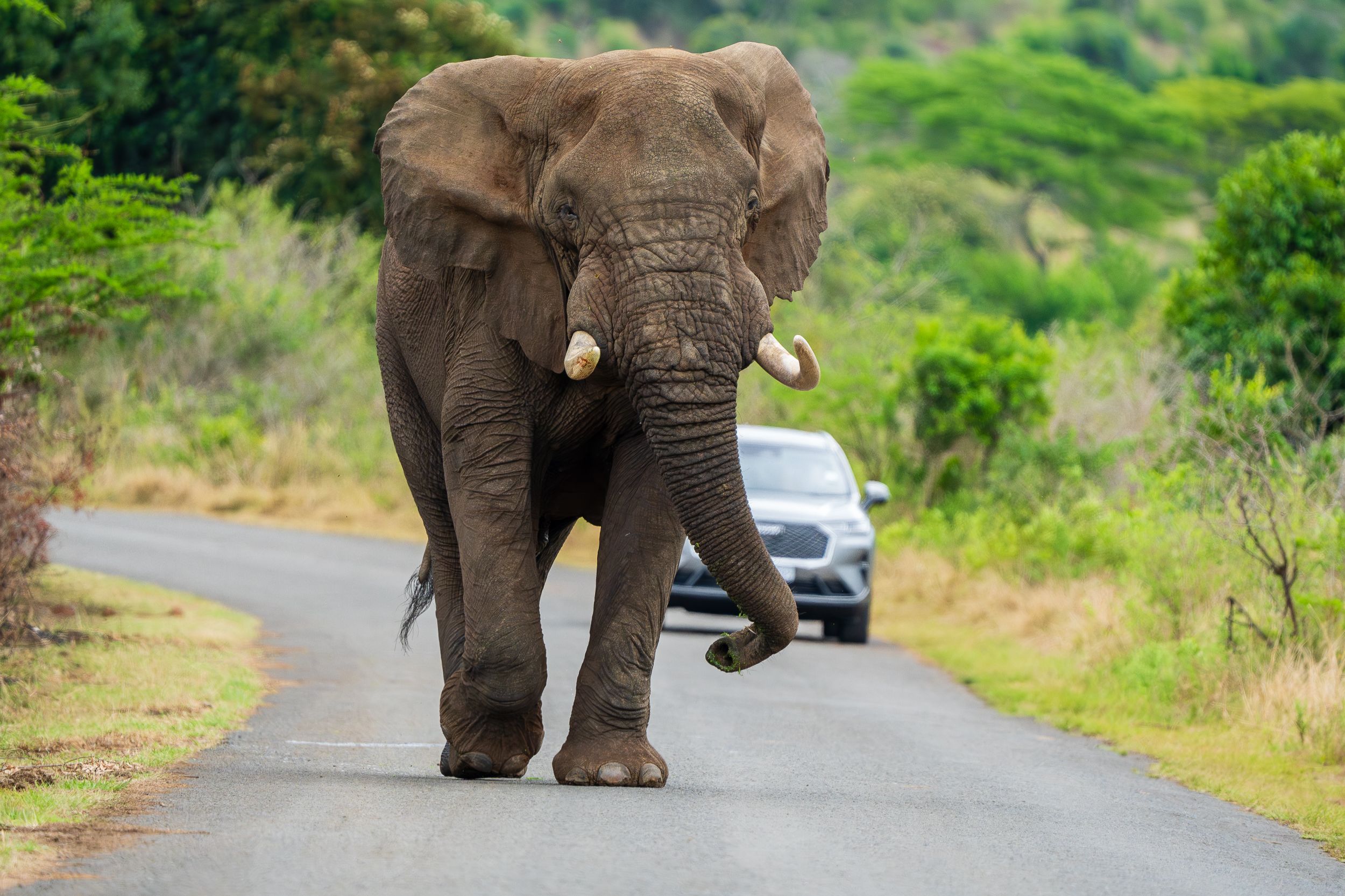 20230928 142443 Fotobuch Südafrika  12